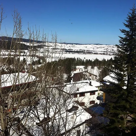 Meranda 3*
